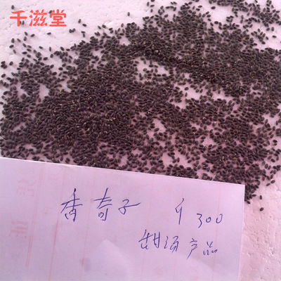 【厂家专业生产直销 高质量新鲜香正品棋子价格实惠 欢迎订购】价格,厂家,图片,干制水产品,福鼎市千滋堂副食品店-