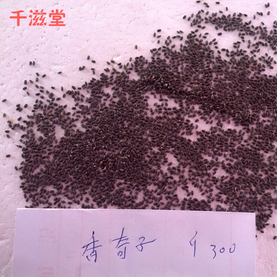 【厂家专业生产直销 高质量新鲜香正品棋子价格实惠 欢迎订购】价格,厂家,图片,干制水产品,福鼎市千滋堂副食品店-