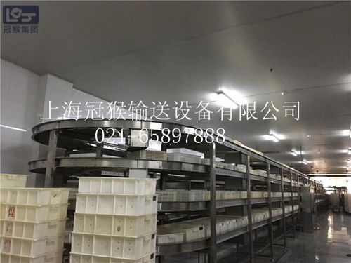 冠猴鸡鸭副食品,调理食品,冷冻食品包装自动化生产线