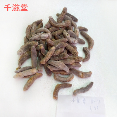 【东莞厂家专业生产直销 高品质新鲜正品沙秃参8-13 欢迎订购】价格,厂家,图片,干制水产品,福鼎市千滋堂副食品店-