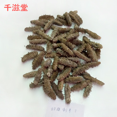 【海量供应新鲜淡干刺参B 福建厂家优惠直销批发 欢迎咨询】价格,厂家,图片,干制水产品,福鼎市千滋堂副食品店-